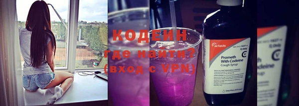 шишки Аркадак