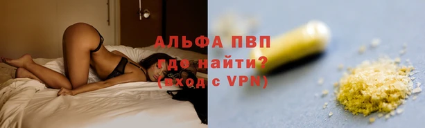 шишки Аркадак