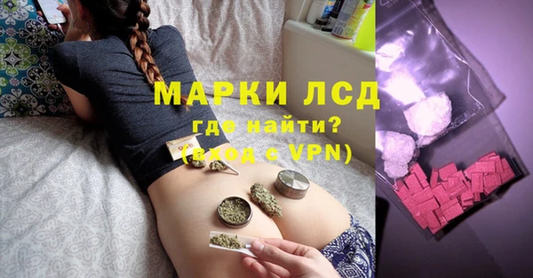 шишки Аркадак