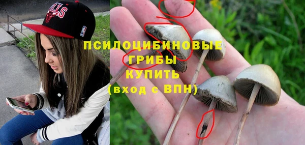 шишки Аркадак