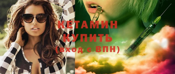 шишки Аркадак