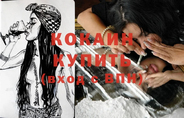 шишки Аркадак