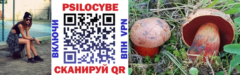 кракен tor  Рассказово  Псилоцибиновые грибы Cubensis  купить закладку 